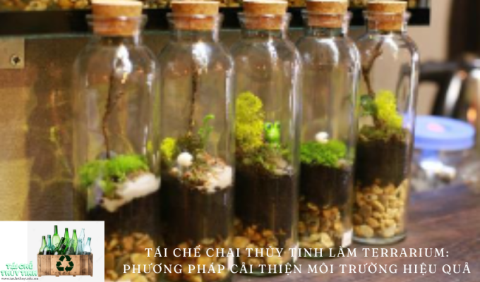 Tái chế chai thủy tinh làm terrarium: Phương pháp cải thiện môi trường hiệu quả