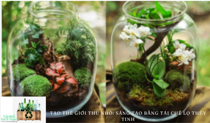 Tạo thế giới thu nhỏ: Sáng tạo bằng tái chế lọ thủy tinh